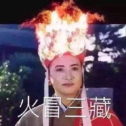 吃瓜萌主第15集免费观看,揭秘幕后真相，免费观看大揭秘！
